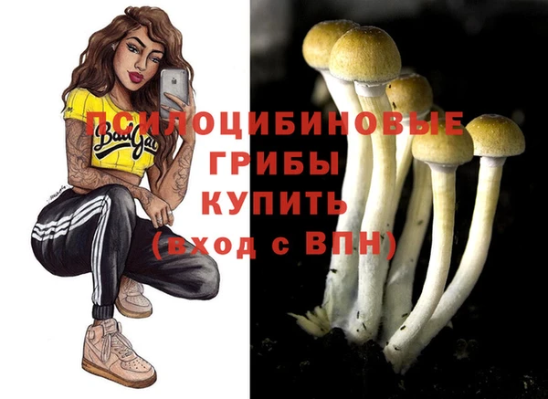 меф Володарск