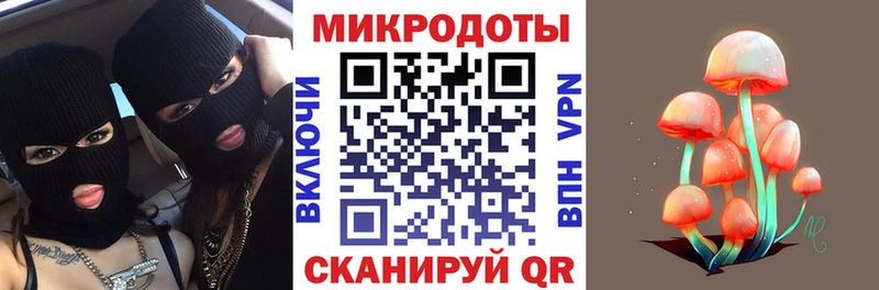 Псилоцибиновые грибы Psilocybe  Купить где  Котельниково 